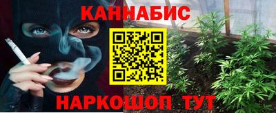 ECSTASY Новодвинск