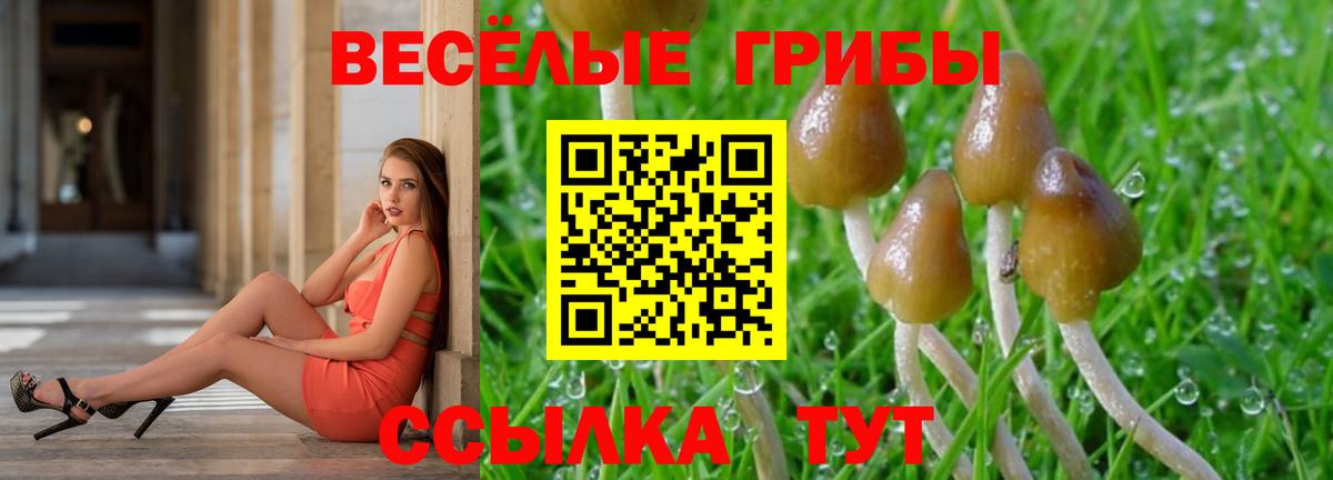 Псилоцибиновые грибы прущие грибы Сегежа